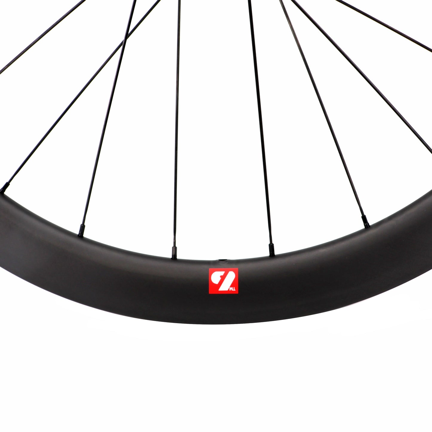 WRC-01 Carbon disk brake wheels (45mm)