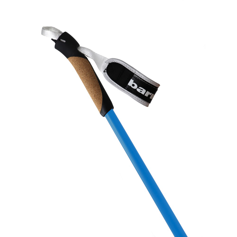XC-09 Carbon Ski Poles for Nordic and Roller Skiing (x2), Blue