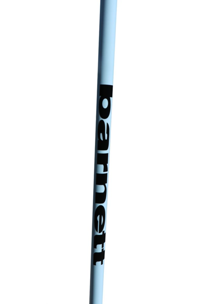 XC-09 Carbon Ski Poles for Nordic and Roller Skiing (x2), Light blue